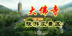 荡妇骚屄中国浙江-新昌大佛寺旅游风景区